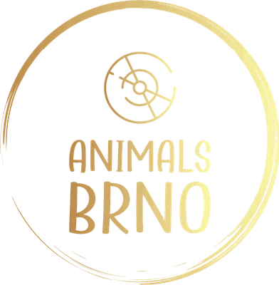Animals Brno